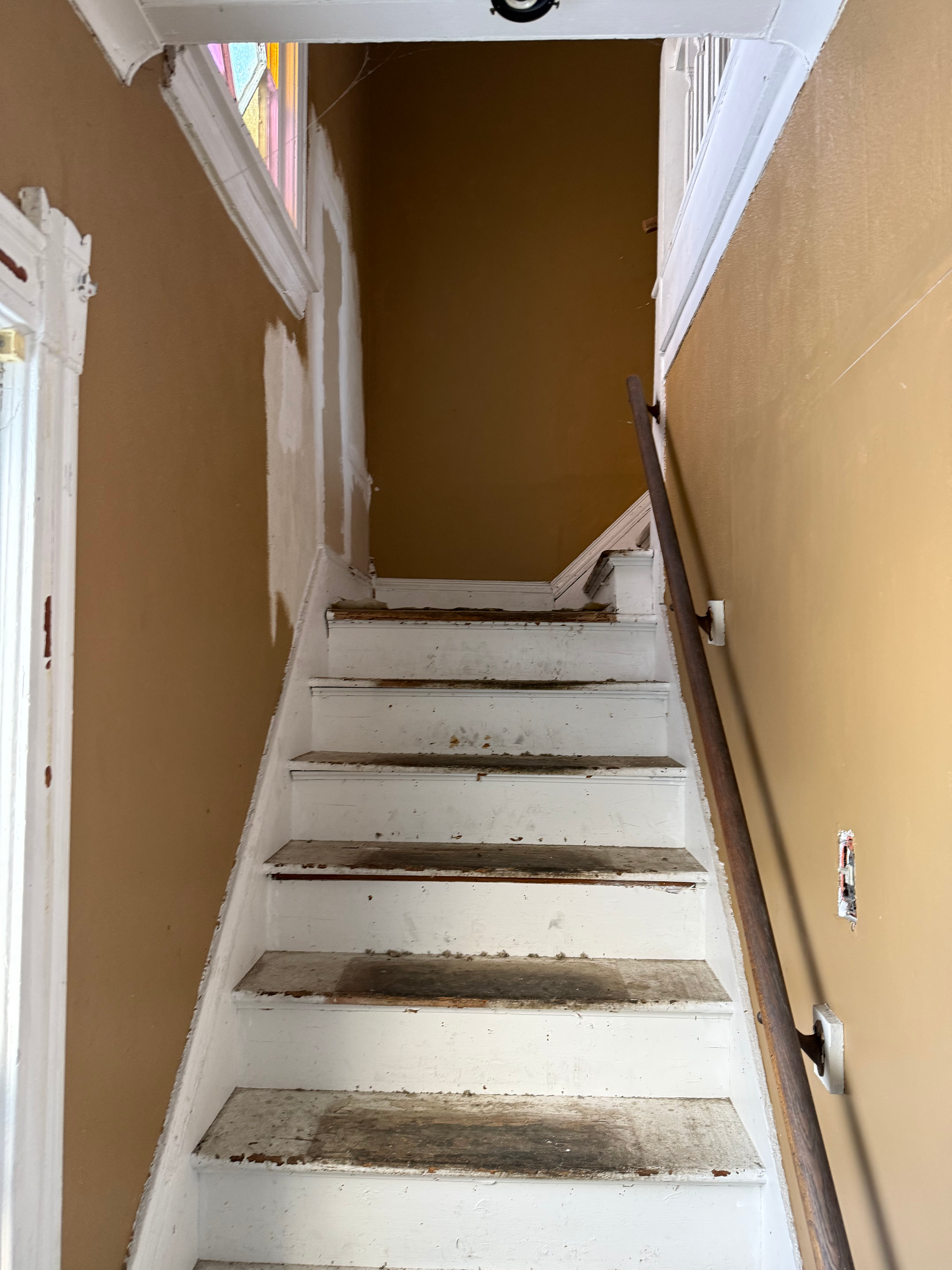 1131 Lemoyne Ave photo
