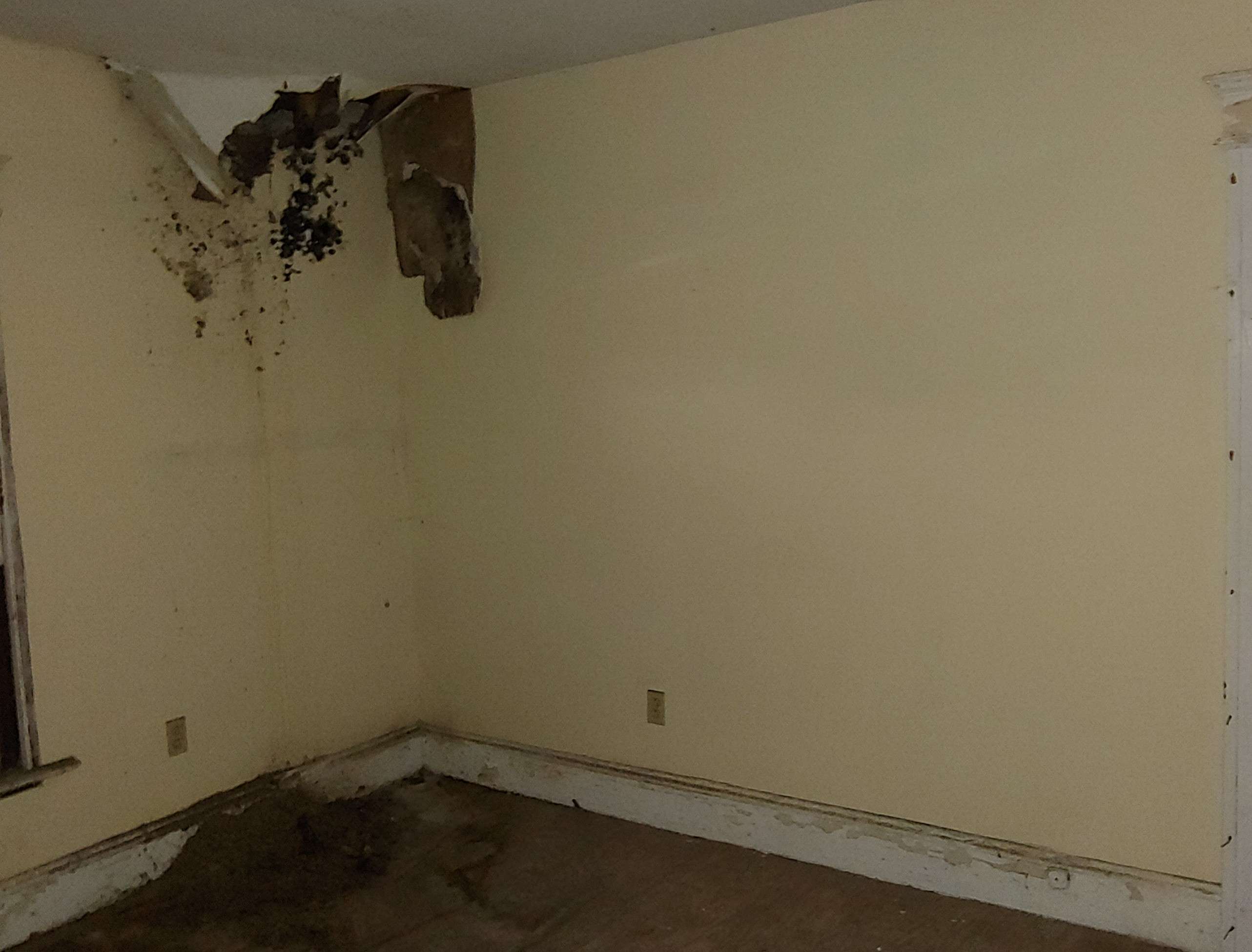 118-20 Borden Ave E photo